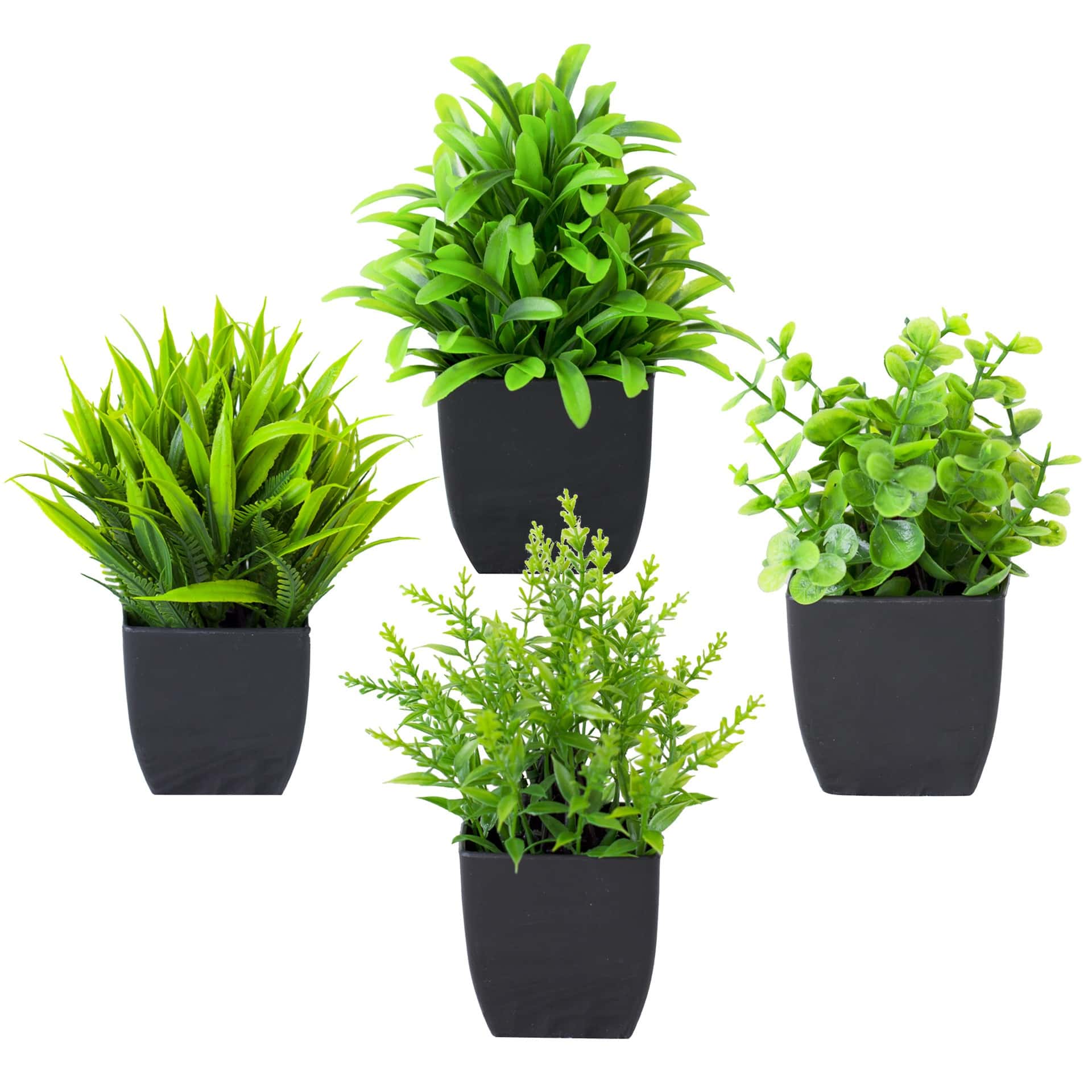 1pc Realistic Mini Eucalyptus  - đánh giá và giá Home Office Layout