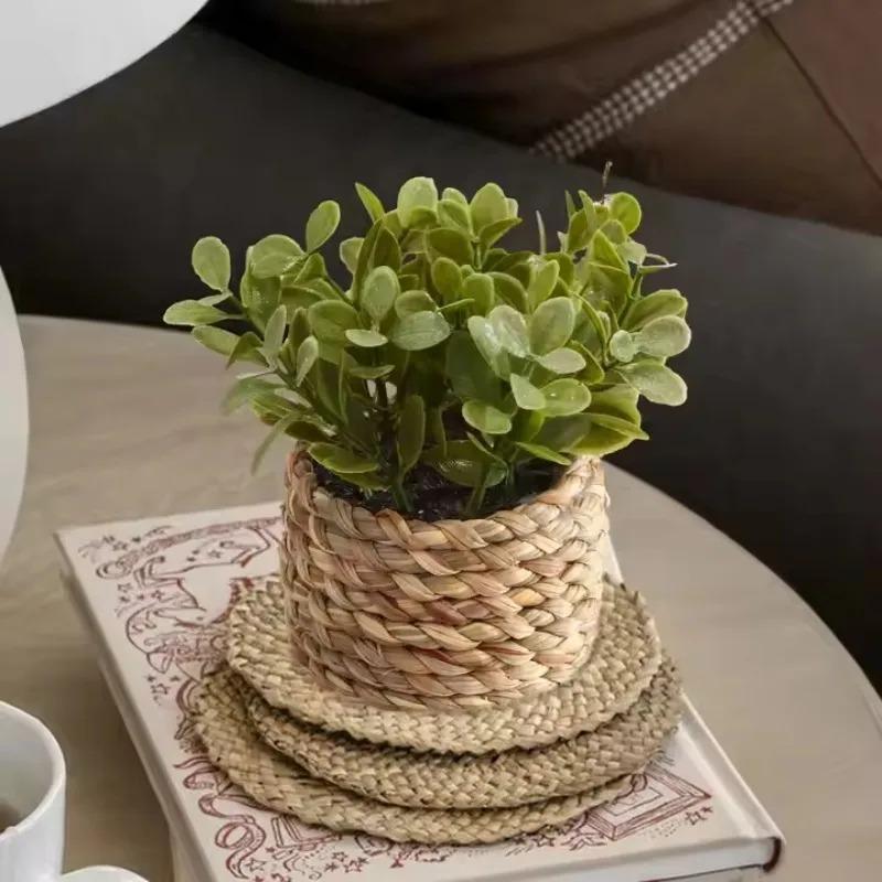 1Pc Potted Plant Small Fake Pl - đánh giá và giá Home Office Layout