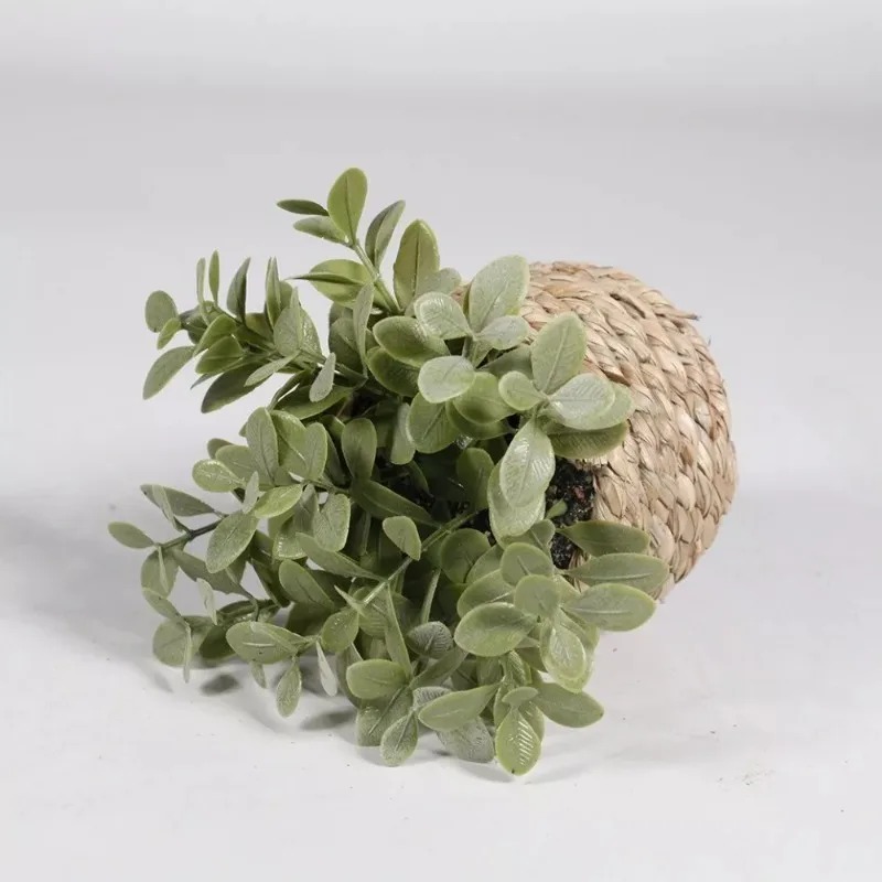 1pcs Woven Small Artificial Gr - đánh giá và giá Home Office Layout