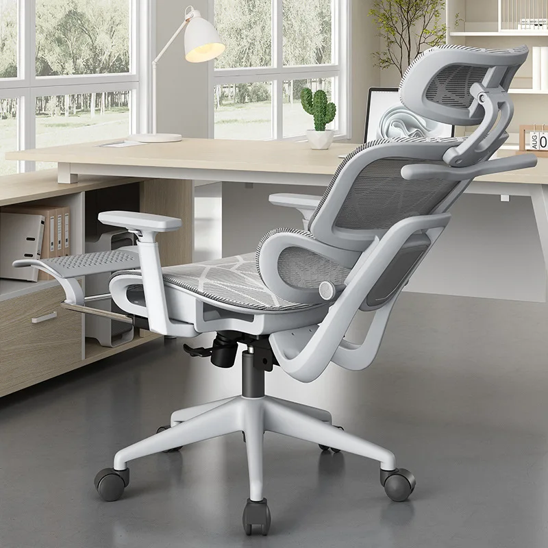 Ergonomic Office Chair Pro Lon - đánh giá và giá Ergonomic Office Chair
