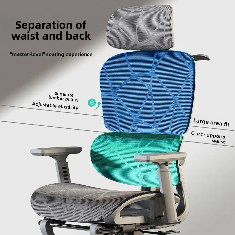 Ergonomic Office Chair Pro Lon - đánh giá và giá Ergonomic Office Chair