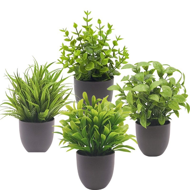 Simulation Green Plant Bonsai  - đánh giá và giá Home Office Layout