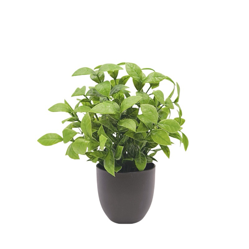 Simulation Green Plant Bonsai  - đánh giá và giá Home Office Layout